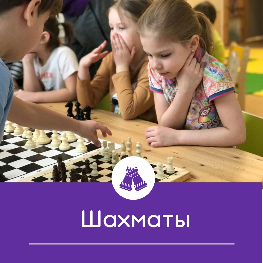 Шахматы групповые занятия
